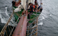Pippilotta