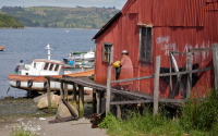 30