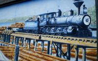 24