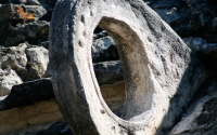 25